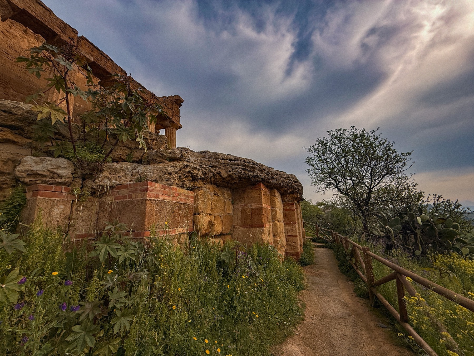 Sentiero tra i ruderi e la vegetazione selvatica della Valle dei Templi, al tramonto